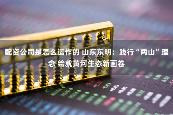 配资公司是怎么运作的 山东东明:践行“两山”理念 绘就黄河生态新画卷