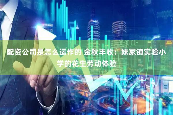 配资公司是怎么运作的 金秋丰收：妹冢镇实验小学的花生劳动体验