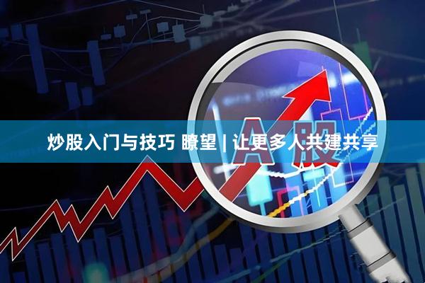 炒股入门与技巧 瞭望 | 让更多人共建共享